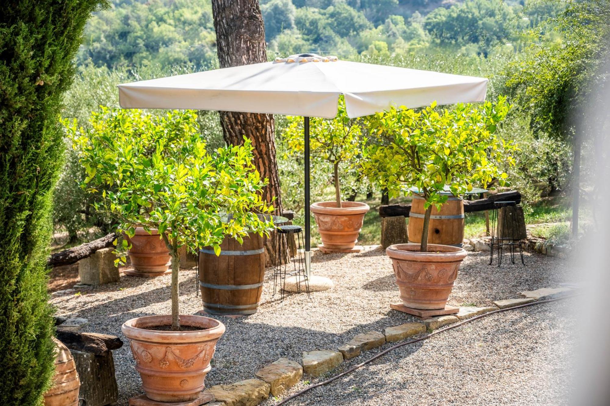 Savignola Paolina Villa Greve in Chianti Exterior foto